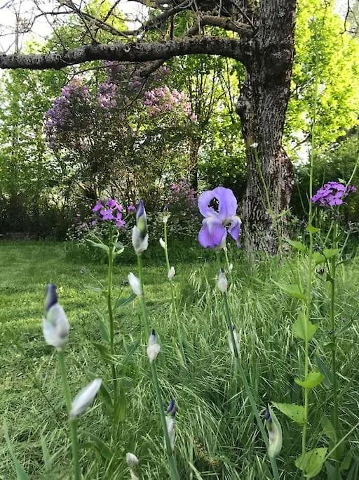 Belle Maison De Campagne Familiale - 8 Personnes Lachau France